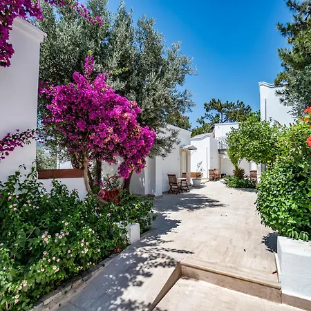 Manzara Boutique Hotel - Adults Only-3